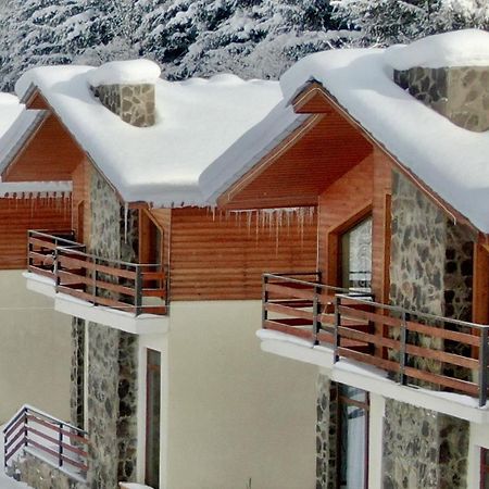Villa Mtashi Bakuriani Exterior foto