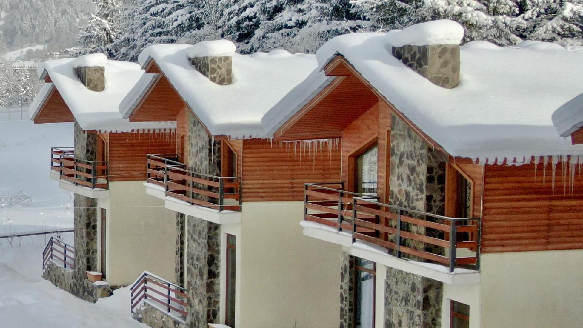 Villa Mtashi Bakuriani Exterior foto